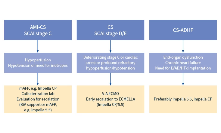 From Medical Therapy to Mechanical Support – Strategies for Device Selection and Insertion Techniques