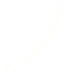 Impella Icon