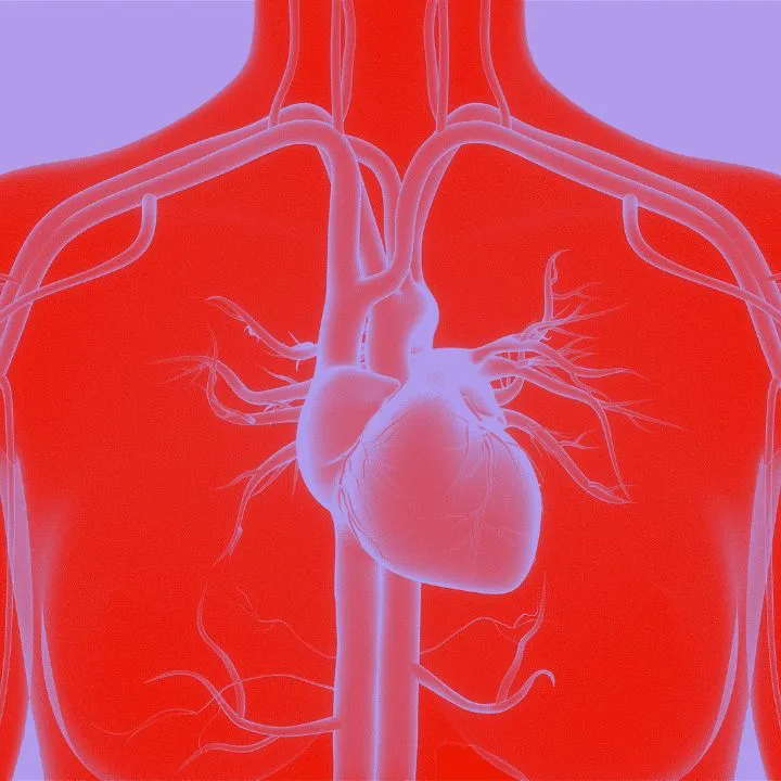 Langzeitergebnisse der DanGer Shock Studie