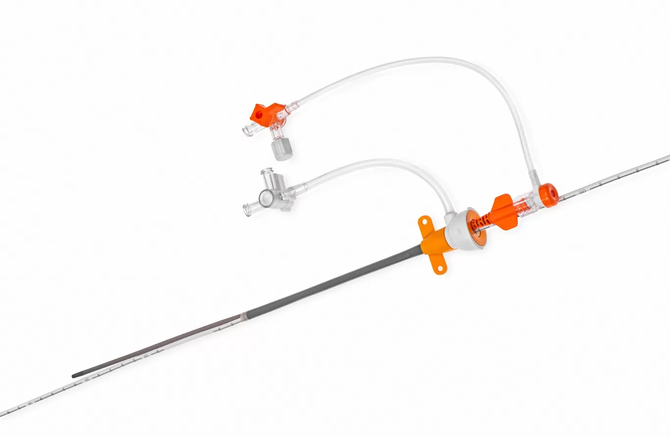 Product Manual for the Impella Low Profile Companion Sheath teaser image