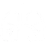 Icon Lungs