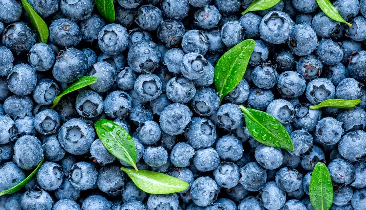 Blueberries May Lower Cardiovascular Risk Blog Image