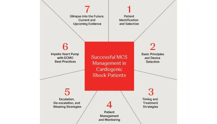 Successful Mechanical Circulatory Support (MCS) in Cardiogenic Shock Patients - An Overview