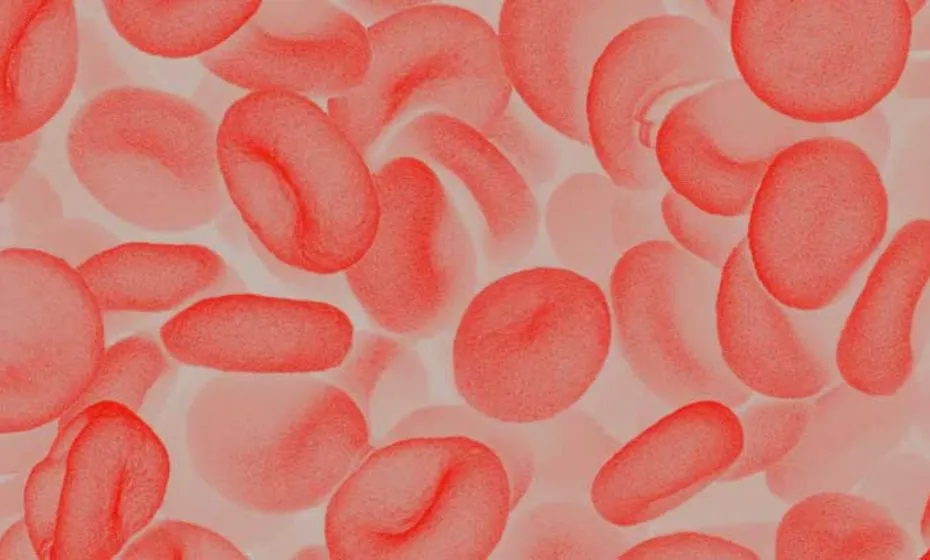 Survival rates in heart failure-related cardiogenic shock