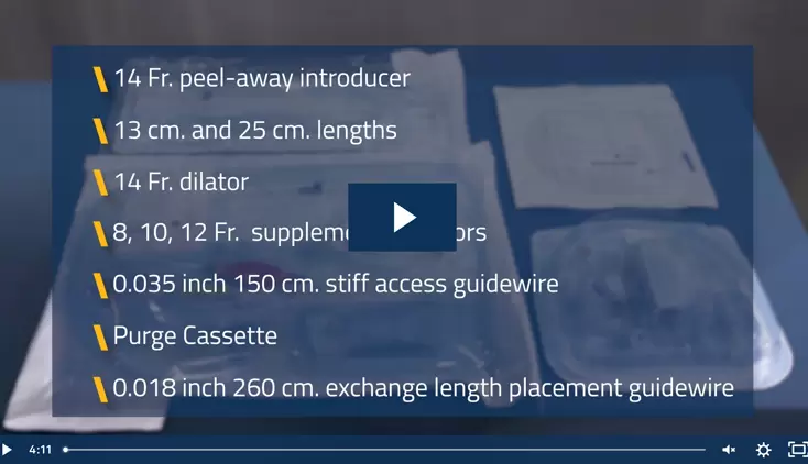 Impella® Skills Video: Setup Procedure for Impella CP® with SmartAssist®

&nbsp;
